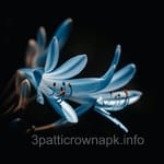 Avatar of Waleed Khan